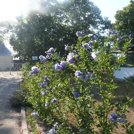 Ferienhaus Sonnenschein * Zinnowitz
